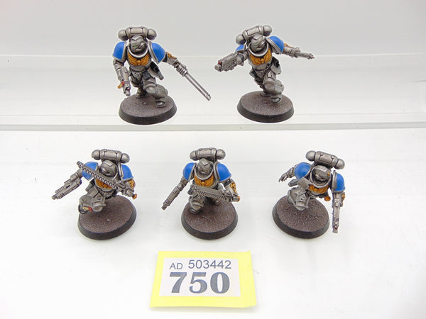 Assault Intercessrs