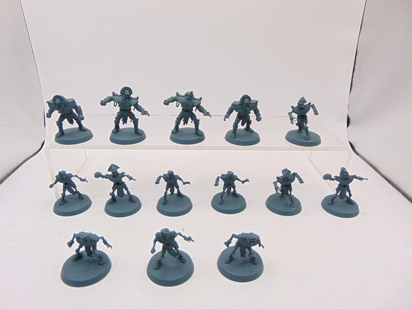 Tomb Kings Blood Bowl Team: The Nehekhara Nightmares