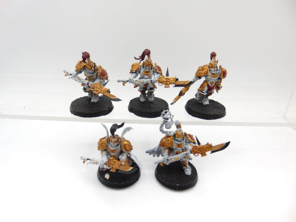 Custodian Guard