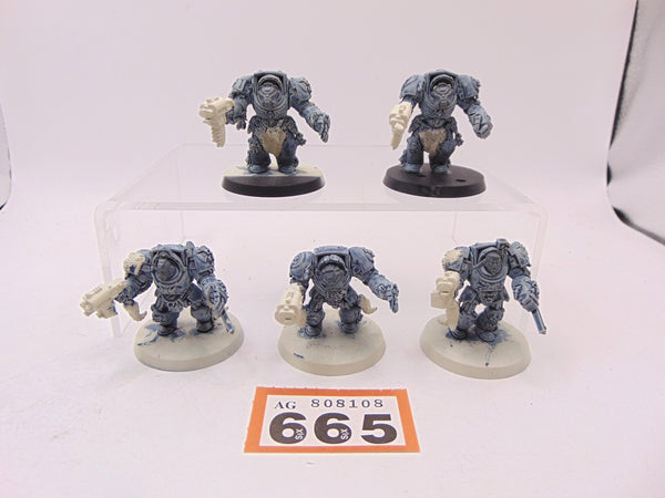 Wolf Guard Terminators