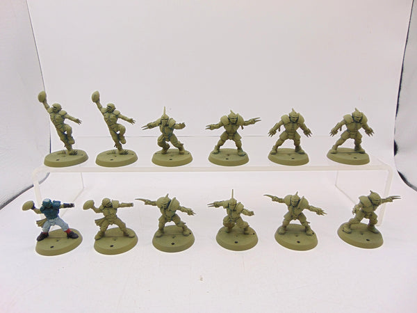 Human Team: Reikland Reavers