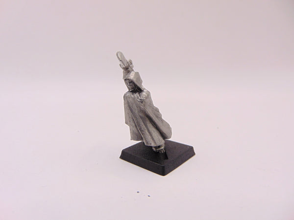 Dark Elf Assassin