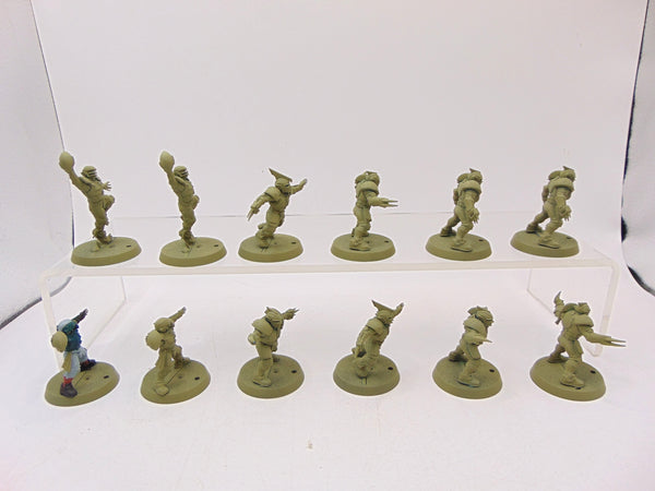 Human Team: Reikland Reavers