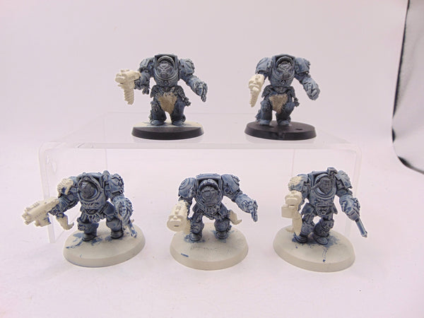 Wolf Guard Terminators