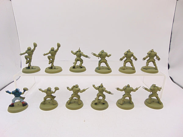Human Team: Reikland Reavers