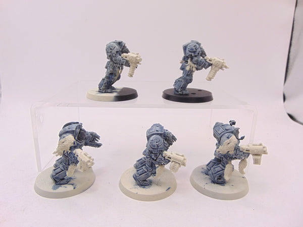 Wolf Guard Terminators
