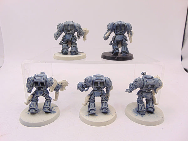 Wolf Guard Terminators