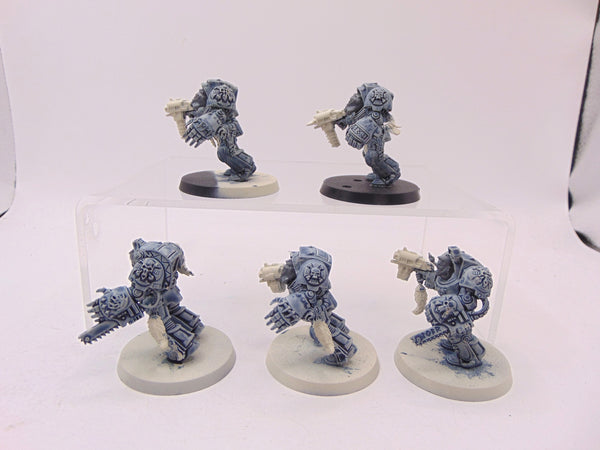 Wolf Guard Terminators