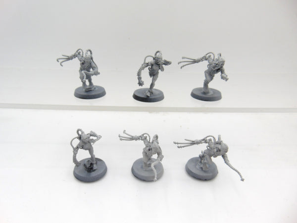 Arco Flagellants