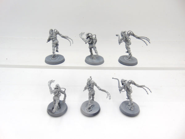 Arco Flagellants
