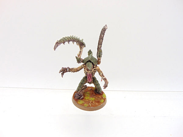 Lictor