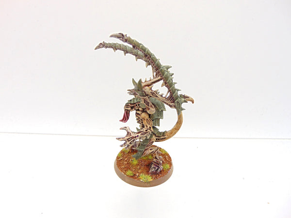 Lictor
