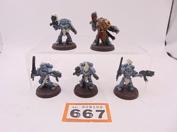 Grey Hunters