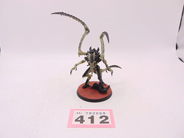 Lictor