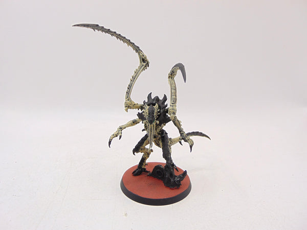Lictor