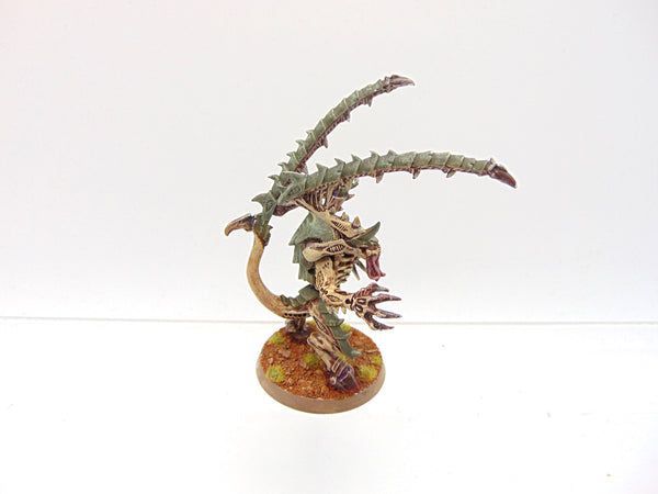 Lictor