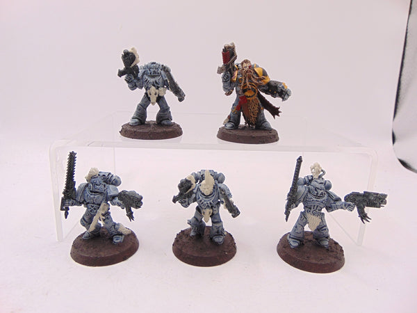 Grey Hunters
