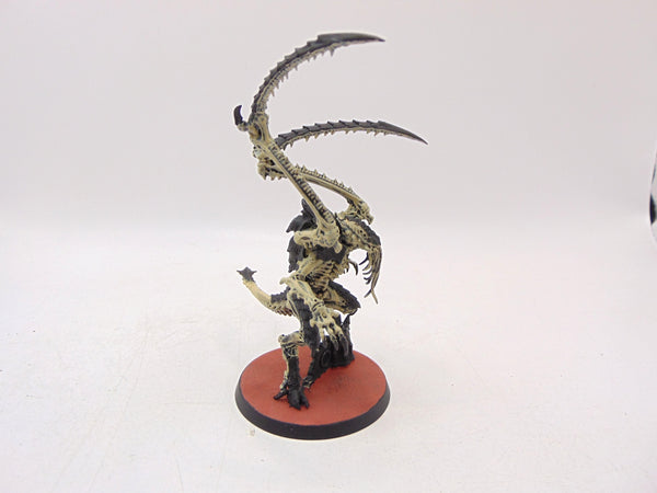 Lictor