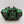 Land Raider
