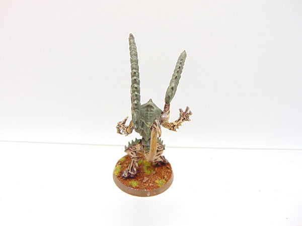 Lictor