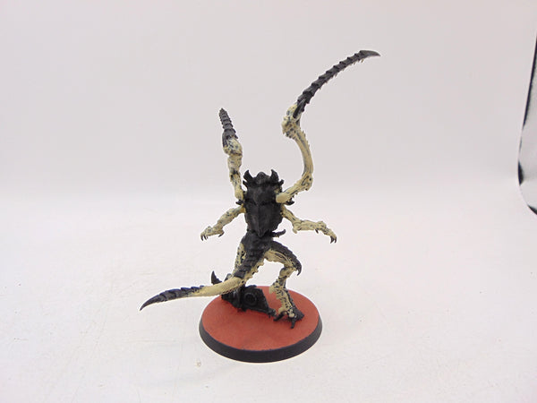 Lictor