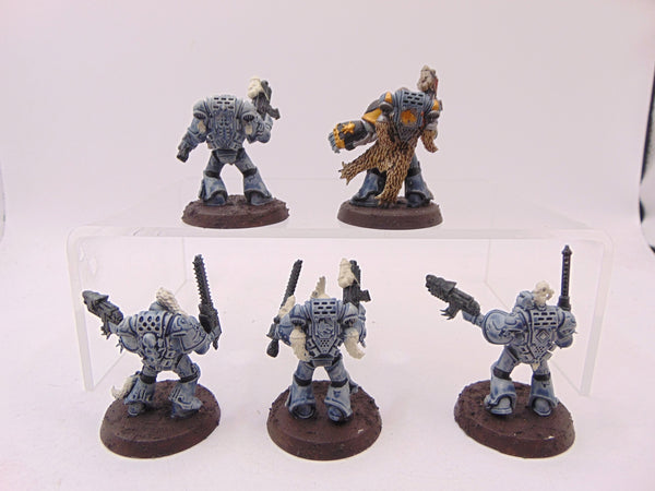 Grey Hunters