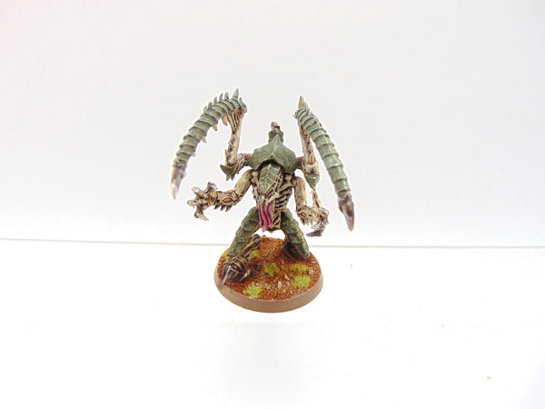 Lictor