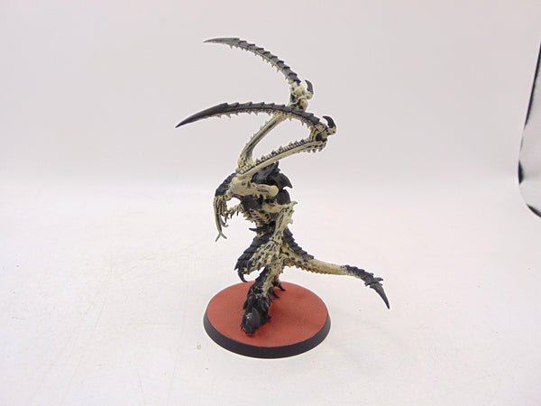 Lictor