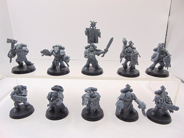 Wolf Guard