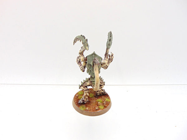 Lictor