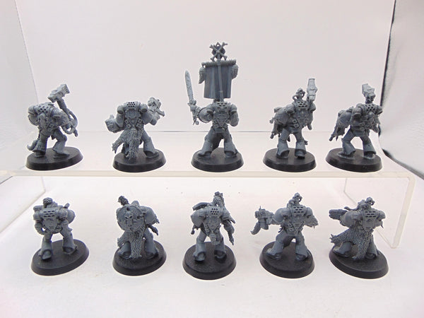 Wolf Guard