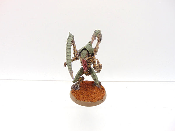 Lictor