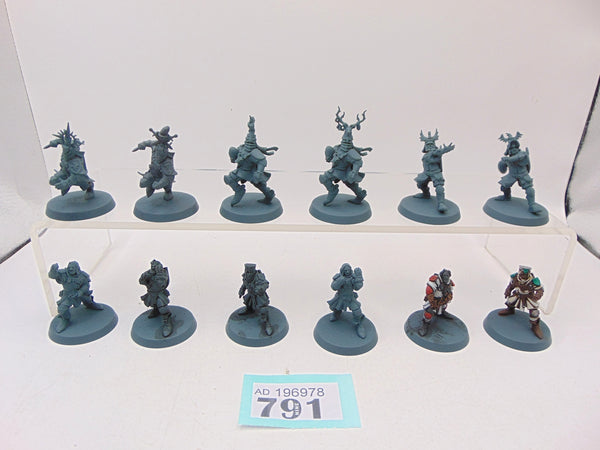 Bretonnian Blood Bowl Team: The Brionne Barons