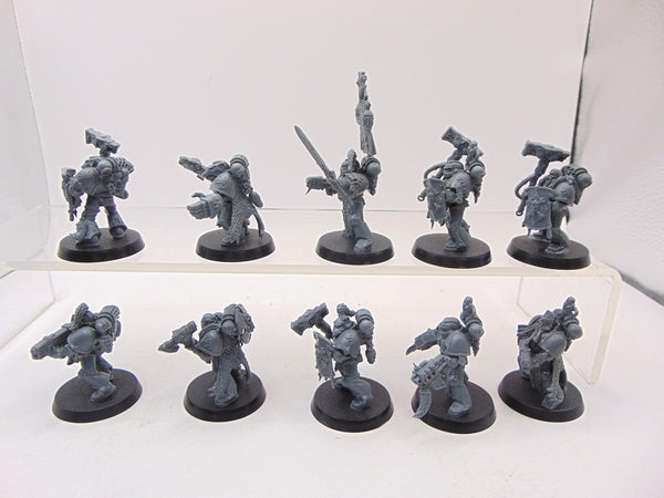 Wolf Guard