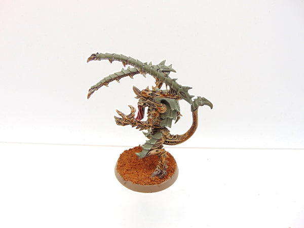 Lictor