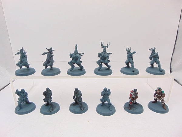 Bretonnian Blood Bowl Team: The Brionne Barons