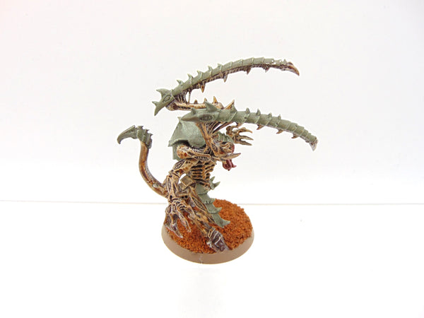 Lictor