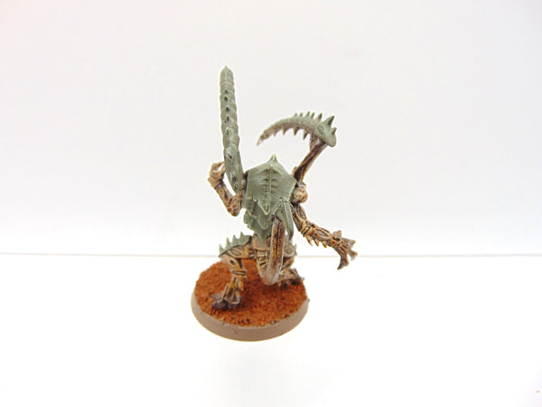 Lictor
