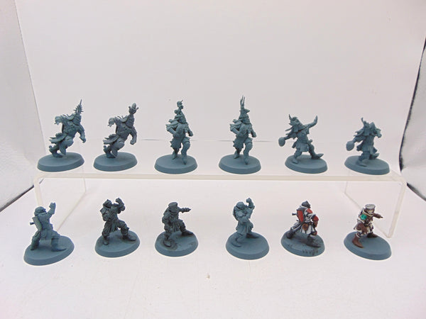 Bretonnian Blood Bowl Team: The Brionne Barons