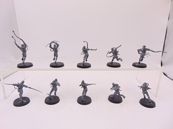 Arco Flagellants