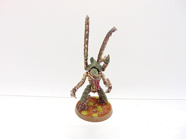 Lictor