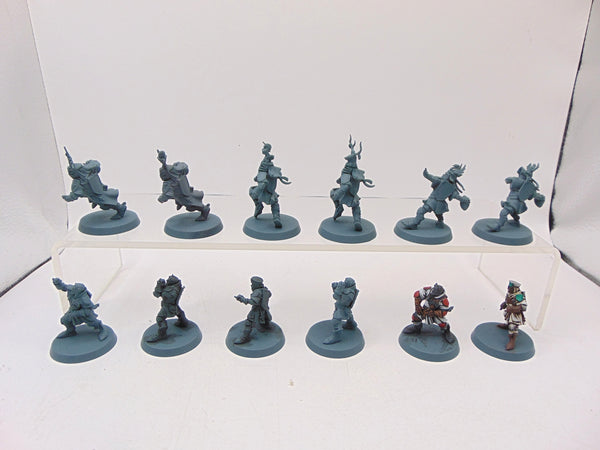 Bretonnian Blood Bowl Team: The Brionne Barons
