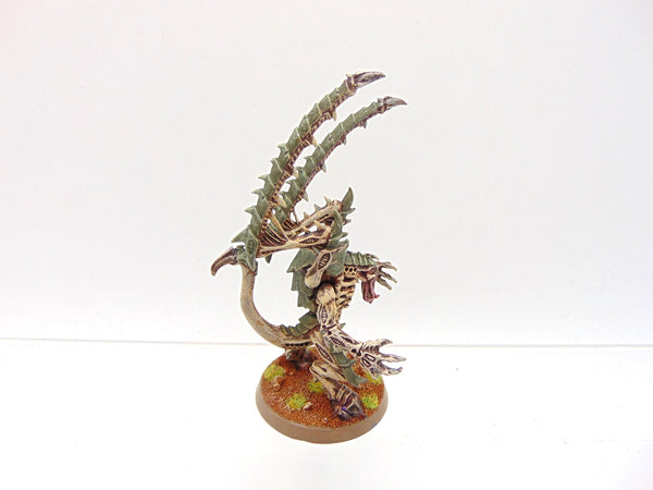 Lictor