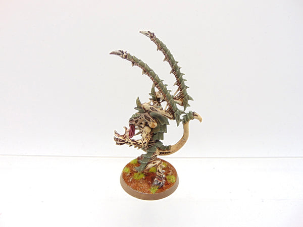Lictor