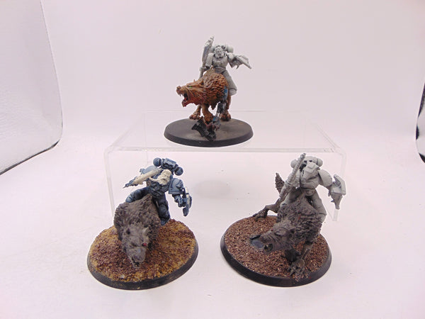 Thunderwolf Cavalry
