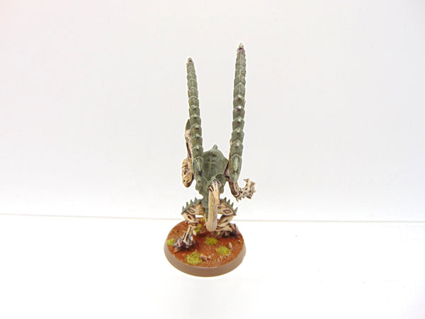 Lictor