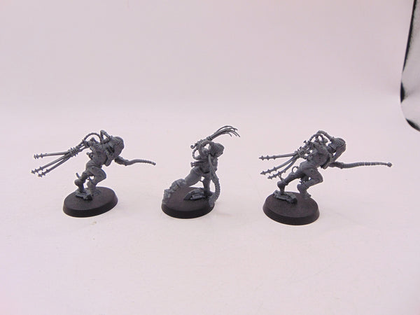 Arco Flagellants