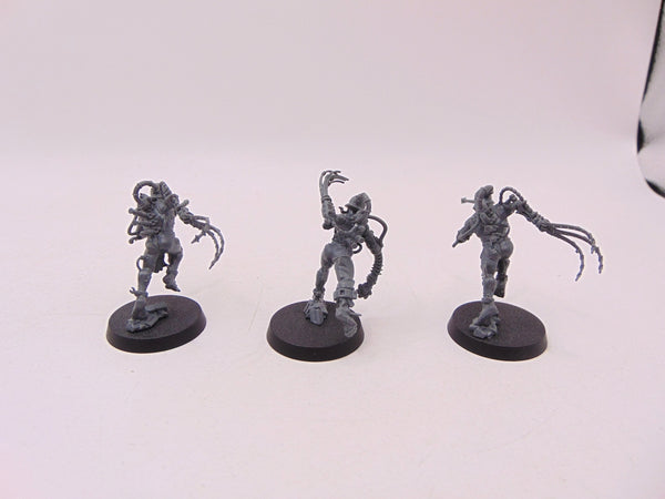 Arco Flagellants