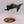 Stormtalon Gunship