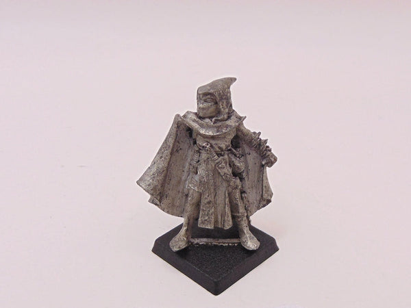 Dark Elf Assassin
